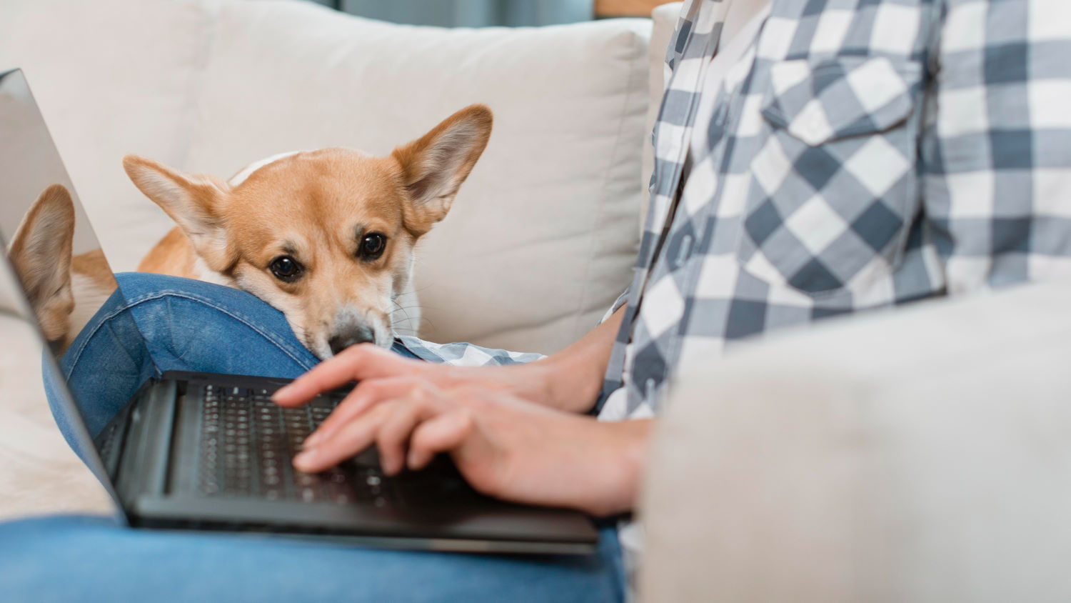 side-view-of-woman-working-on-laptop-with-her-dog - Computer Center Lenovo ThinkBook 15p G2 to laptop biznesowy zbudowany z myślą o wydajności